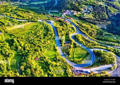 Vue d'une route sinueuse traversant un vignoble, avec une mobylette vintage en arrière-plan