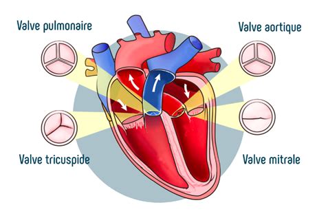 Schéma d'une valve d'échappement de motoneige