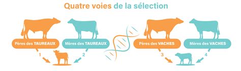 Interface de l'éditeur GSX montrant la sélection et le déplacement d'objets.