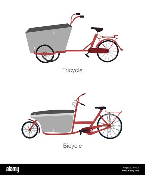 Illustration comparative de différents modèles de vélos cargo longtail électriques.