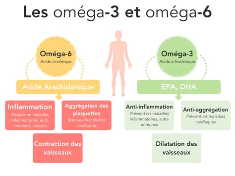 Infographie comparant les acides gras (oméga-3, oméga-6, oméga-9) et les vitamines présents dans différentes huiles végétales.
