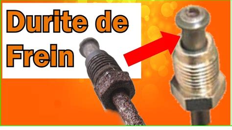 Schéma d'une durite de frein aviation avec ses différents composants (banjo, gaine, sertissage)