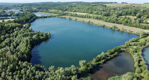 Vue panoramique de l'Étang du Tronc du Chêne, un lieu de pêche paisible et naturel.
