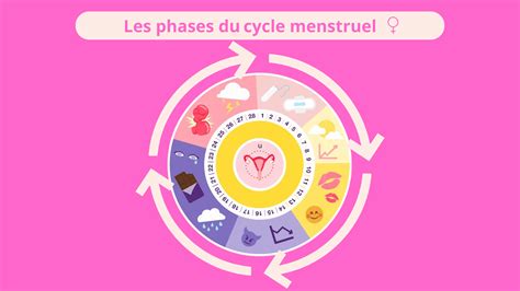 Infographie sur les nutriments importants pendant le cycle menstruel