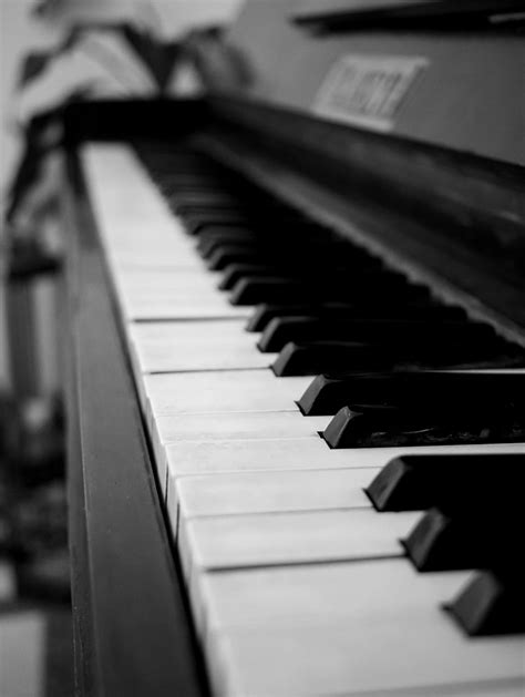 Gros plan sur les touches en ivoire et ébène de synthèse du clavier GrandTouch-S