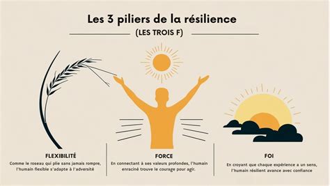 Diagramme illustrant les différentes conceptions de la résilience : qualité, processus, force.
