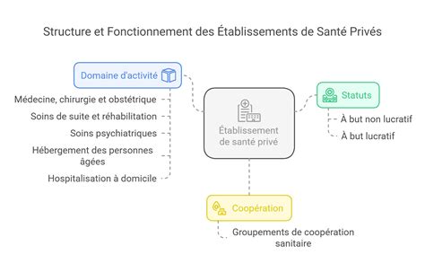 Schéma illustrant la structure des établissements de MAHMOUD TRANSPORTS, avec le siège social actif et les anciens établissements fermés
