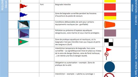 illustration de différents types de drapeaux de plage, y compris le drapeau violet et le drapeau à damier