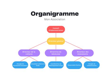 Schéma expliquant la structure d'une association et ses établissements