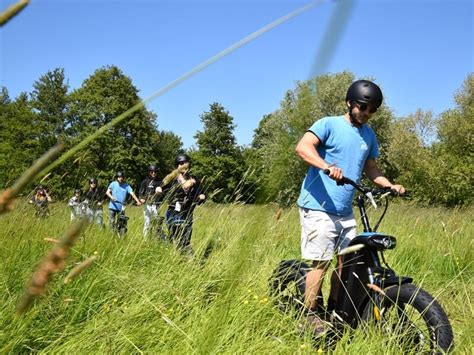 Groupe explorant des sentiers forestiers en trottinette électrique.