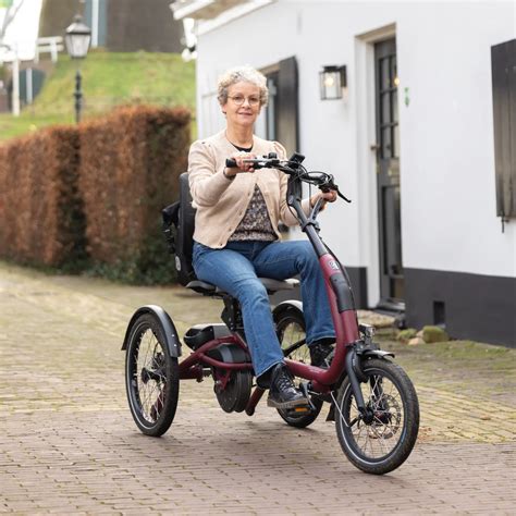 Vue latérale du tricycle Easy Rider mettant en évidence le design épuré et le plateau à bagages