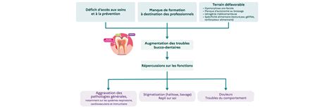 Schéma illustrant les différentes options de reprogrammation