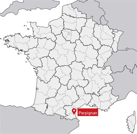 Carte de Perpignan indiquant la localisation de l'accident sur la D900 près de la grande mosquée