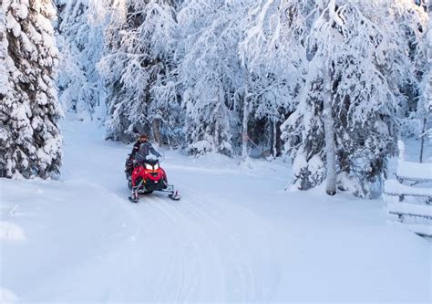 Motoneige traversant une forêt enneigée
