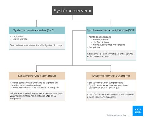 Schéma explicatif du système UDH de SRAM avec ses composants.