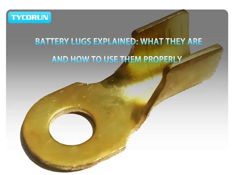 Gros plan sur les cosses de batterie propres et bien connectées.