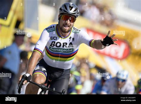 Peter Sagan franchissant la ligne d'arrivée en tête de la course en ligne masculine