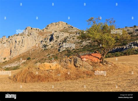 Vue panoramique des Alpilles avec des formations rocheuses calcaires typiques.