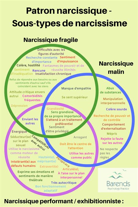 Schéma illustrant les dynamiques du couple narcissique et différentiel.