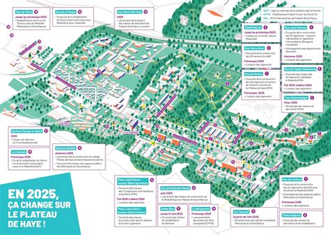 Carte du Plateau de Haye et de ses environs, mettant en évidence les zones forestières et les principaux sentiers VTT
