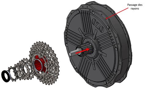 Schéma comparatif entre une roue libre et une cassette de vélo
