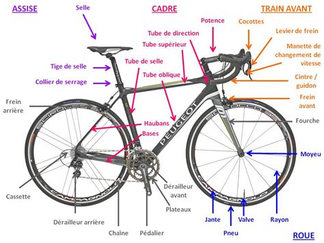Schéma illustrant les différentes parties d'une selle de vélo et leurs fonctions.