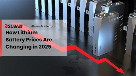 Photo des batteries lithium BearCreeks