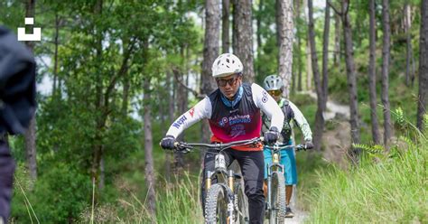 Famille faisant du VTT sur un sentier forestier ombragé