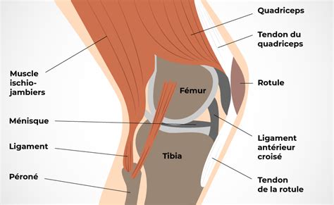 Illustration des protections de genoux avec indication du côté lisse et des picots