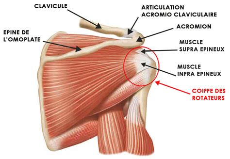 Illustration comparant une coiffe intégrale Arai avec des pare-nuques et mousses d'oreilles d'autres marques.