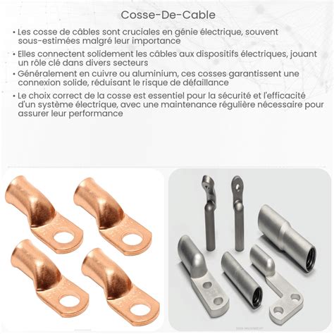 Illustration montrant différentes cosses de neiman avec un nombre variable de fils
