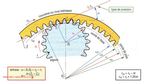 Infographie expliquant l'impact du nombre de dents du pignon et de la couronne sur l'accélération et la vitesse de pointe