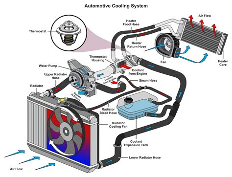 Infographie expliquant les étapes de la purge du liquide de refroidissement, avec des illustrations des bulles d'air s'échappant du radiateur.