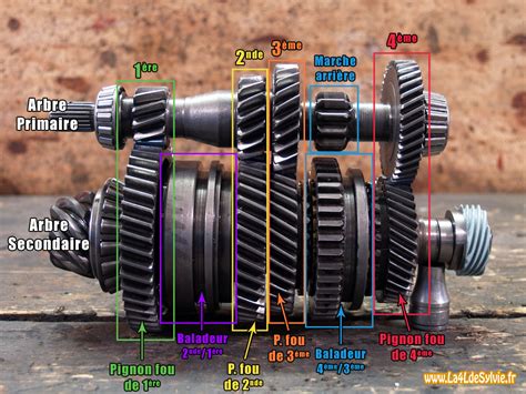 Schéma d'une boîte de vitesses de moto avec indication des points de remplissage et de vidange