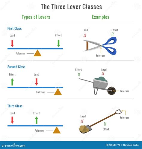Illustration des différents types de leviers de frein et de commandes de vitesse sur un guidon