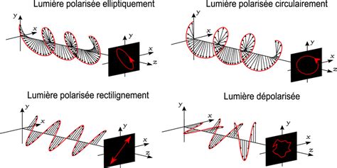 Représentation des différentes polarisations d'antennes.