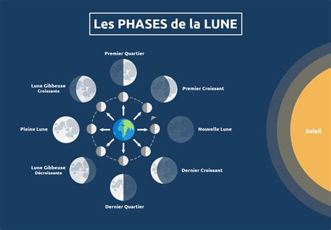 Schéma illustrant les phases de la lune