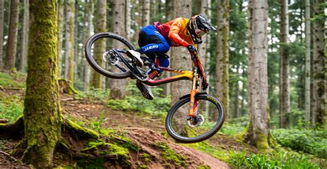 Schéma comparant les différents types de VTT : Cross-country, Trail, Enduro, Descente.