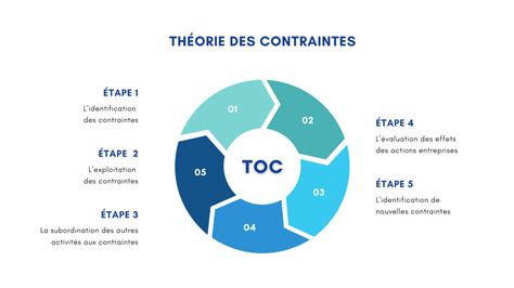 Infographie présentant les différentes options et contraintes du permis moto.