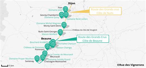 Vue panoramique des vignobles de la Route des Grands Crus, avec une piste cyclable serpentant au milieu.
