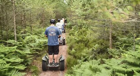 Infographie présentant les différents sentiers et activités de Moors Valley Country Park.