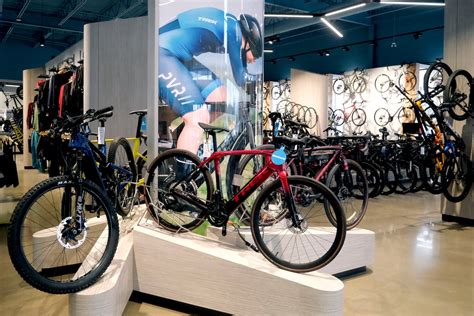 Divers modèles de vélos exposés dans un magasin lumineux
