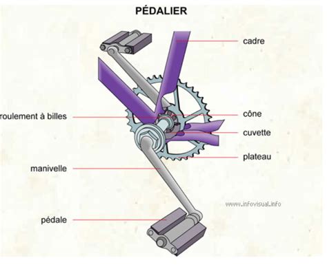 Illustration d'un pédalier de tandem montrant la chaîne de synchronisation