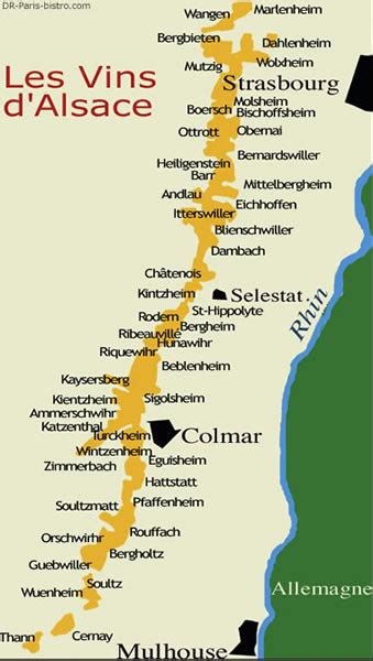 Vignoble alsacien avec une route sinueuse