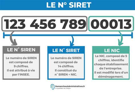 Infographie expliquant la structure d'une entreprise et ses différents codes (SIREN, SIRET, NAF)