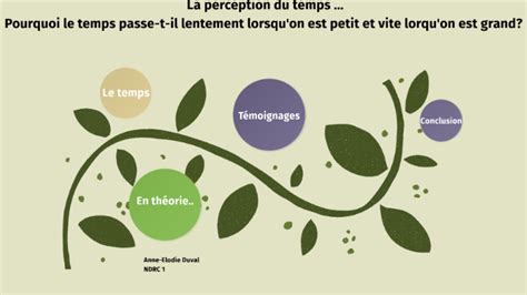Infographie expliquant le paradoxe de la perception du temps avec l'âge et la nouveauté.