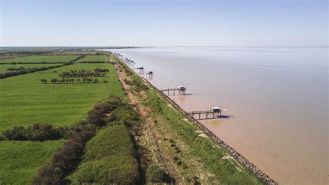 Vue panoramique de l'estuaire de la Gironde avec des carrelets
