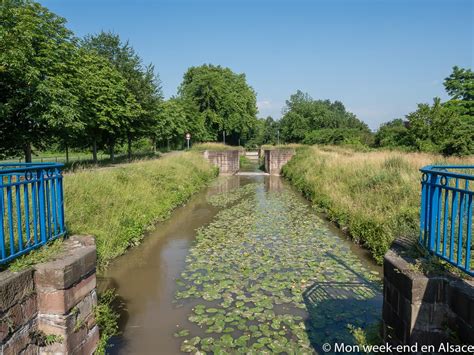 Paysage de campagne traversé par la piste cyclable du Canal des 2 Mers