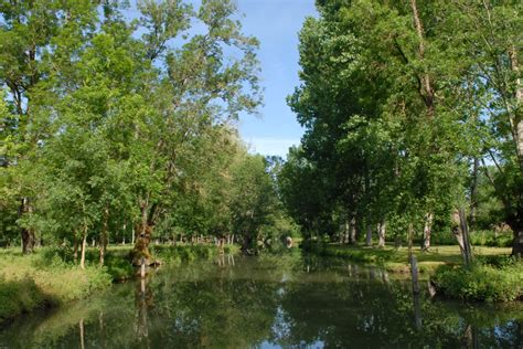 Vue panoramique des canaux et de la végétation luxuriante du Marais Poitevin