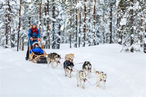 Famille souriante dans un traîneau à chiens traversant une forêt enneigée